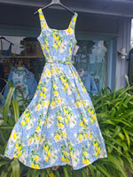 Load image into Gallery viewer, The "old" worldly dress
