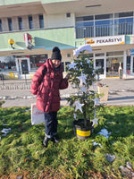 Load image into Gallery viewer, Oversized Duck Down Coat
